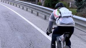 inbiciallavoro covid cover