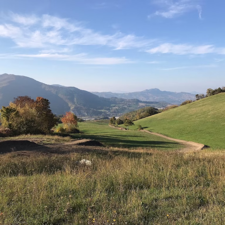 Alpicella Bike Park 4 768x768