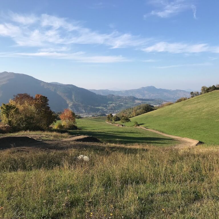 Alpicella Bike Park 4 768x768