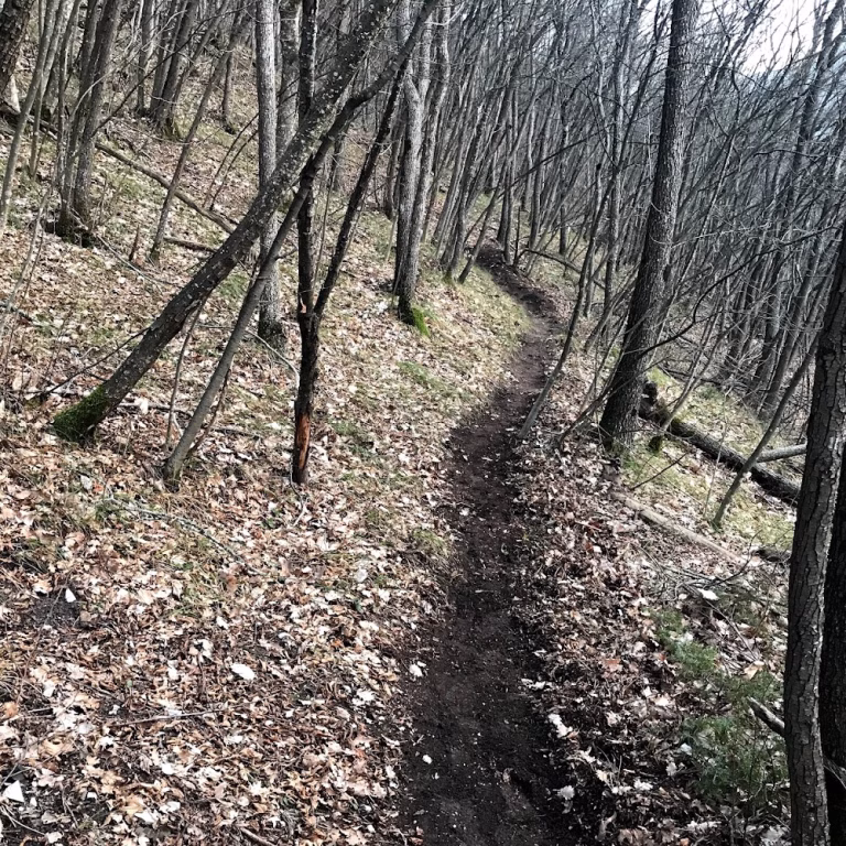 Alpicella Bike Park 6 768x768