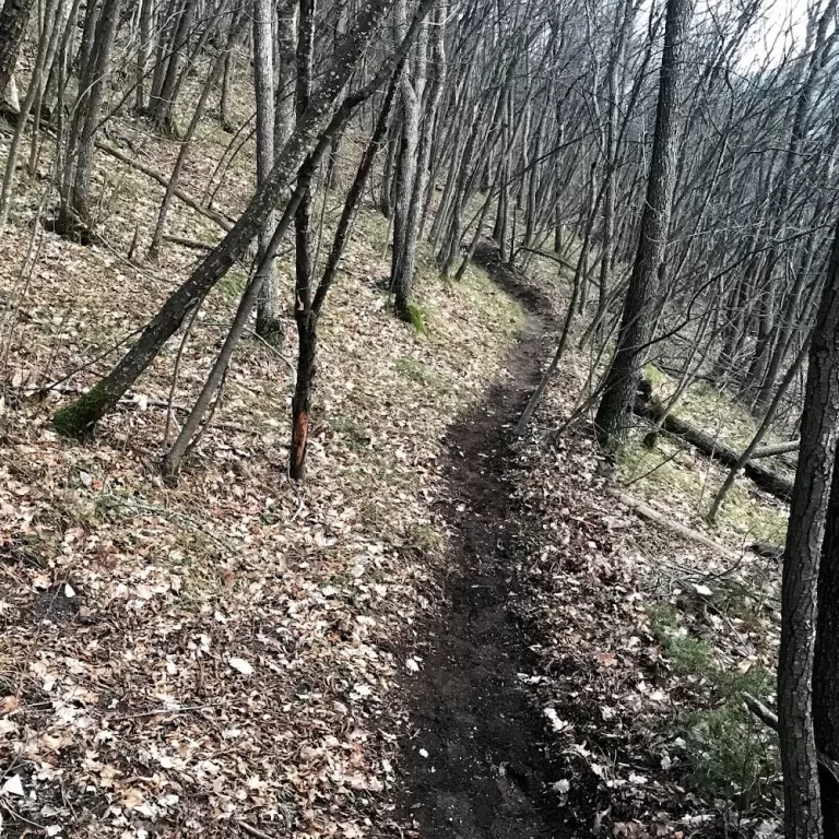 Alpicella Bike Park 6 768x768