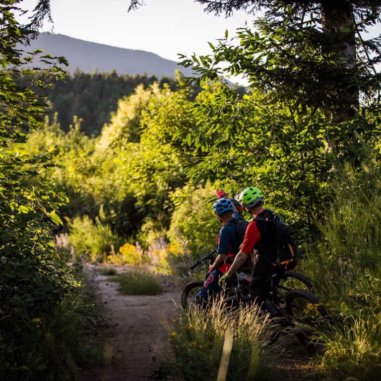 Amiata Freeride Bike Resort 2 768x768