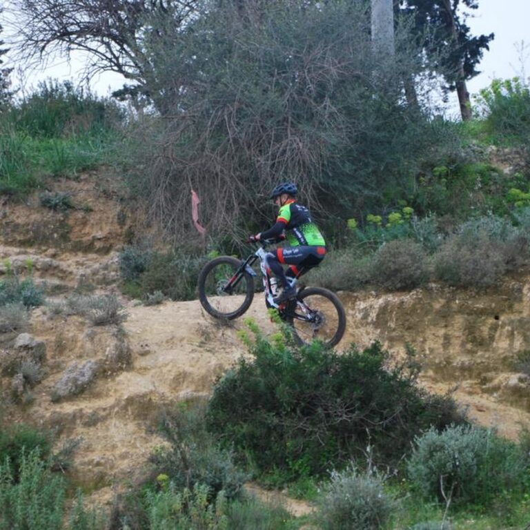 BIKE PARK BELVEDERE 3 768x768