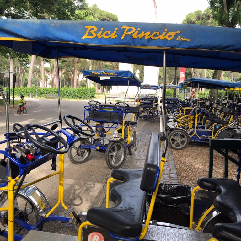 Bici Pincio Rent a Bike 3 768x768