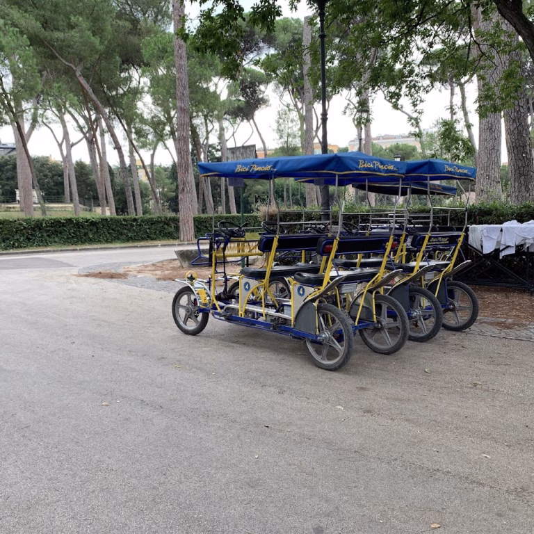 Bici Pincio Rent a Bike 4 768x768
