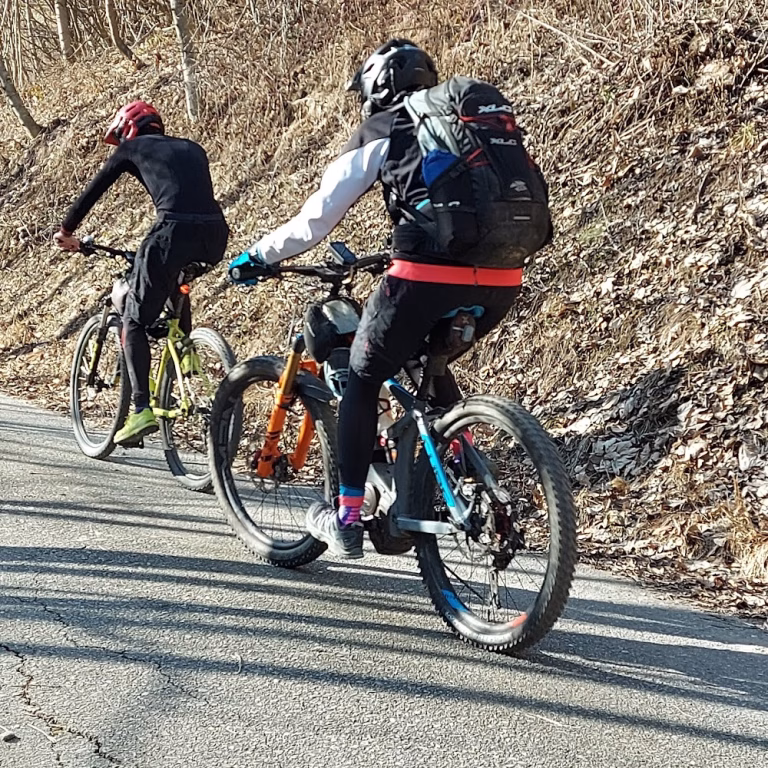 Bike Park Tajare 4 1 768x768