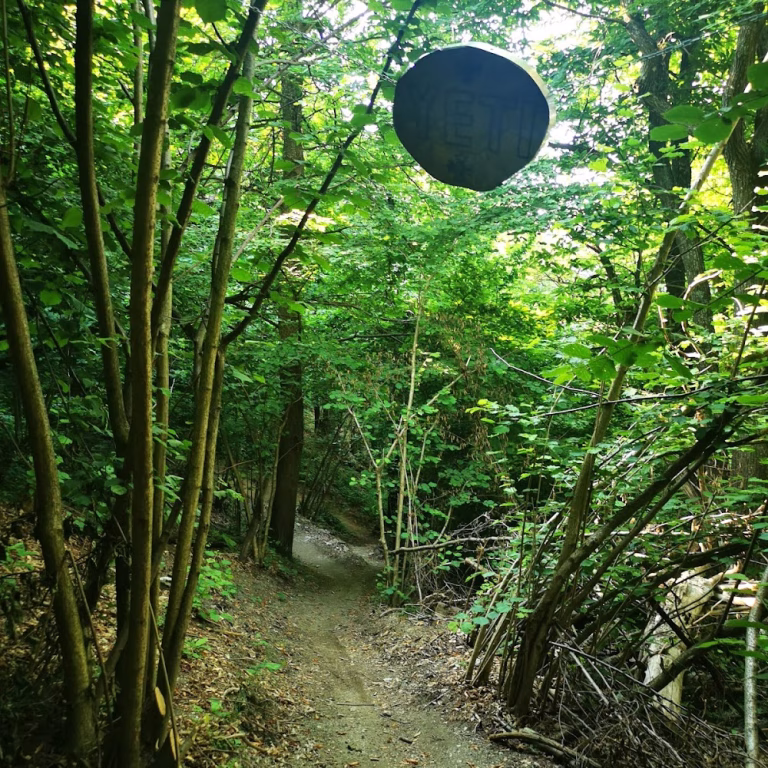 Bike Park Tajare 5 1 768x768