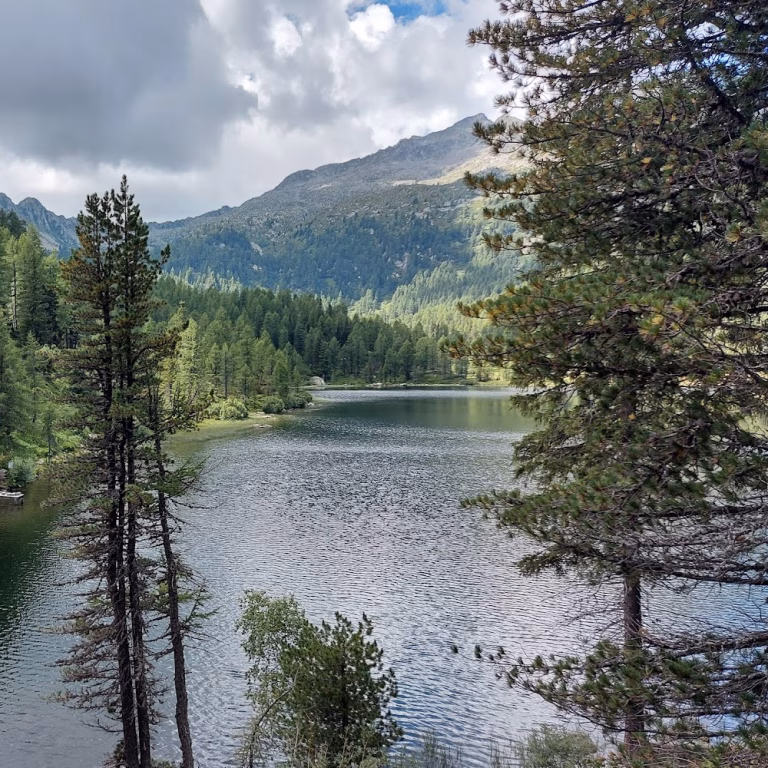 Bike Park Val di Sole 1 768x768