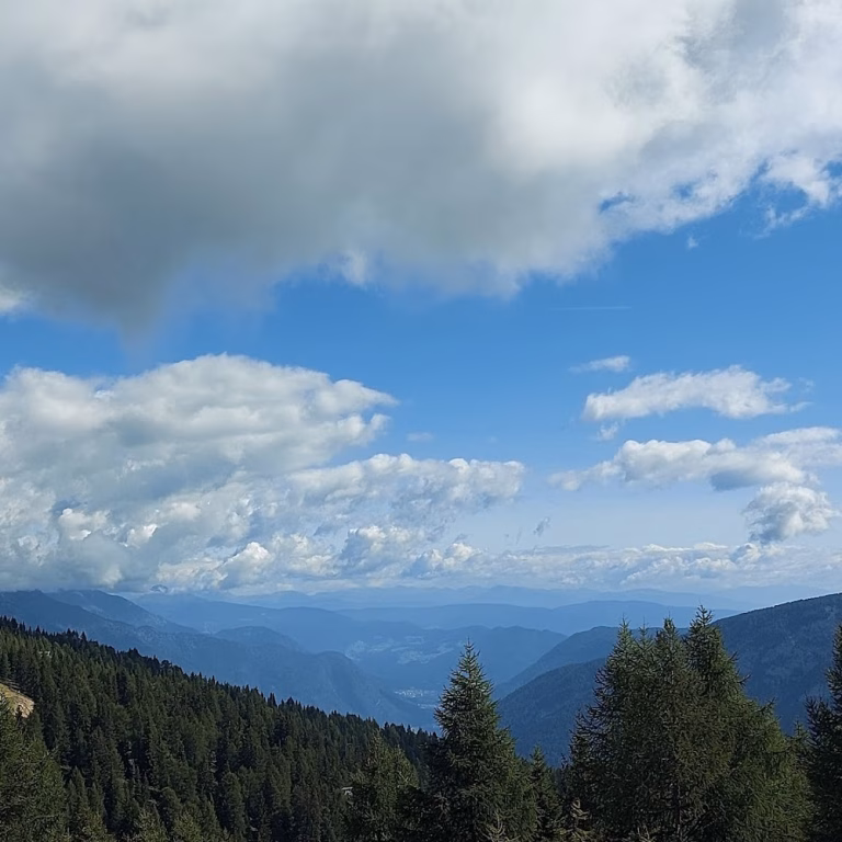 Bike Park Val di Sole 5 768x768