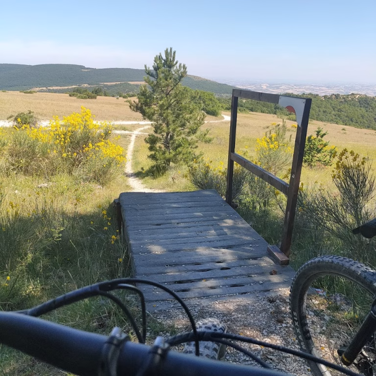 Bike park treia 4 1 768x768