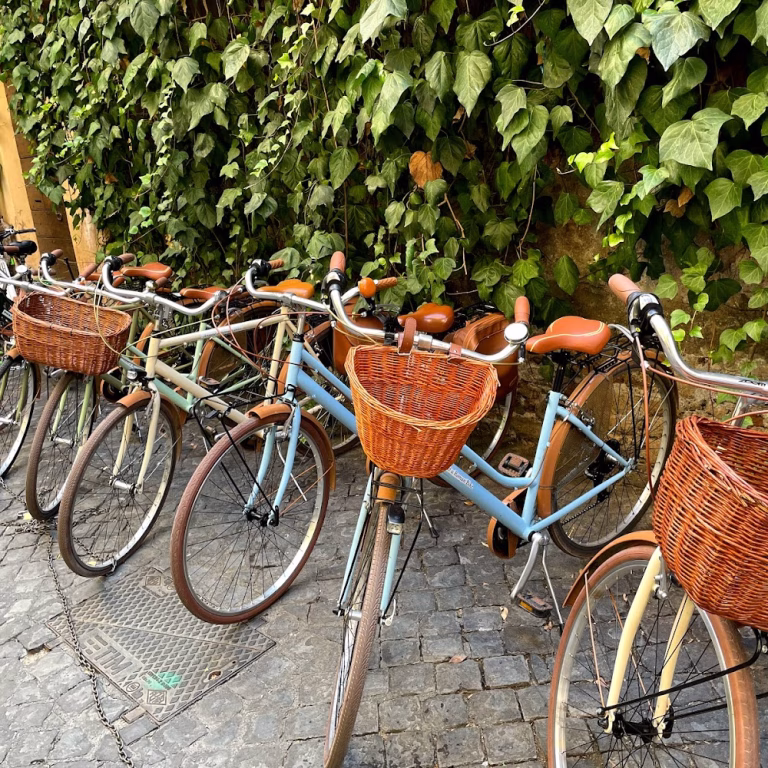 Bikeology Exclusive Private Tours Premium Bicycle Rental 5 1 768x768