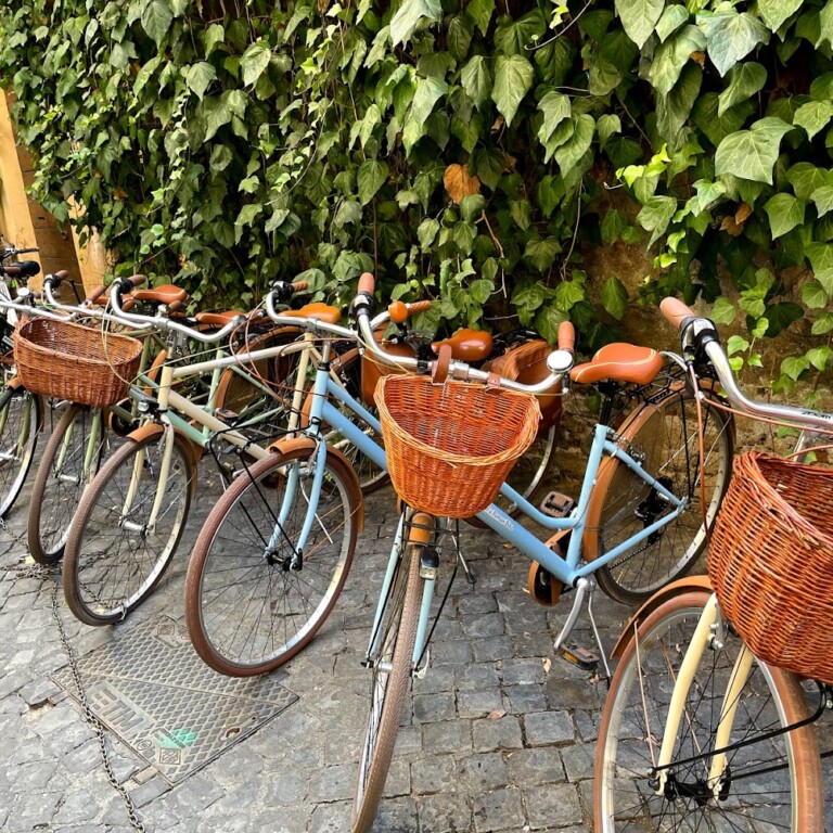 Bikeology Exclusive Private Tours Premium Bicycle Rental 5 1 768x768