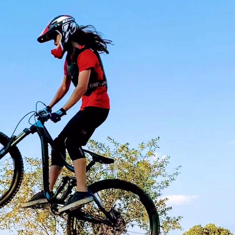 Insane Bike Park 1 768x768