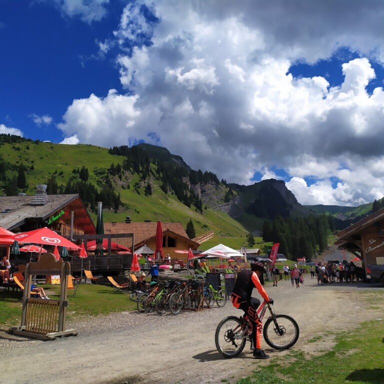 Le Bike Park3 1 768x768