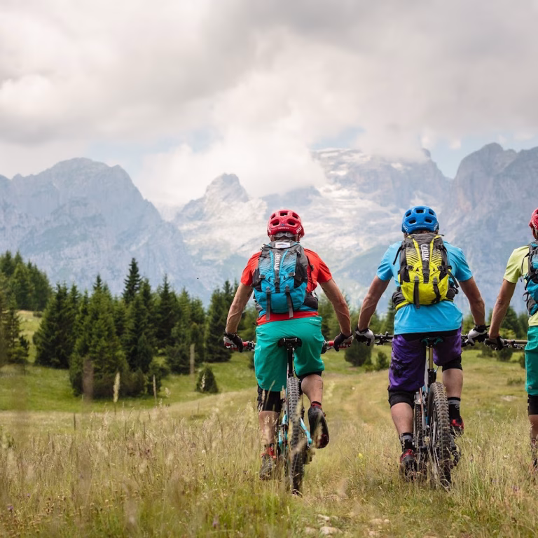Molveno Zone Dolomiti Paganella Bike 6 768x768