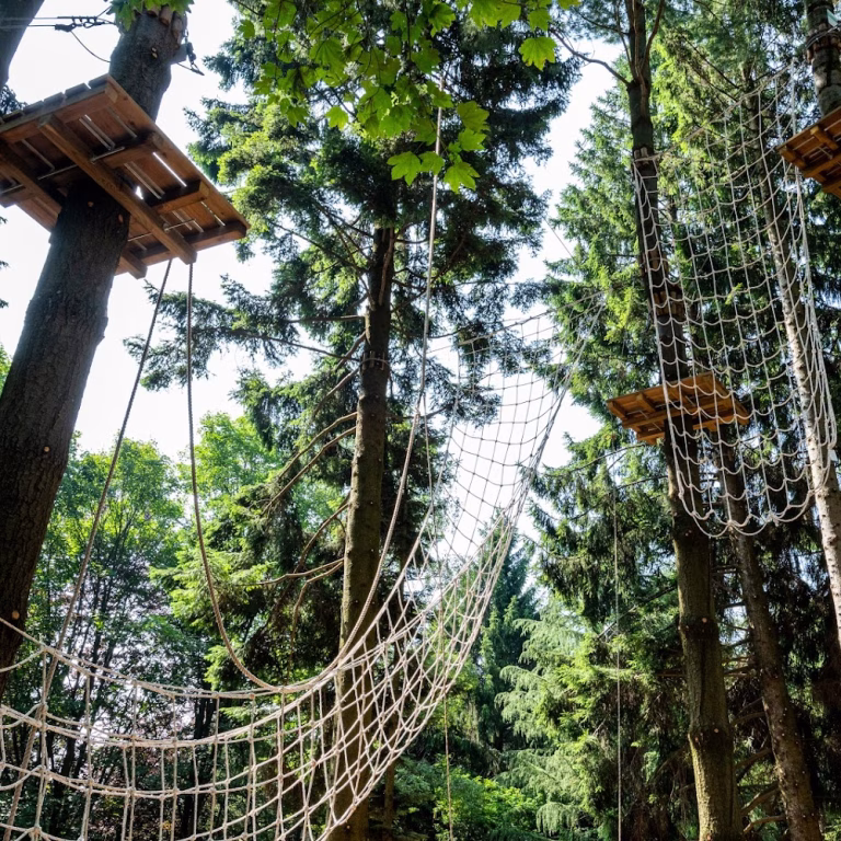 Mottarone Adventure Park 5 768x768