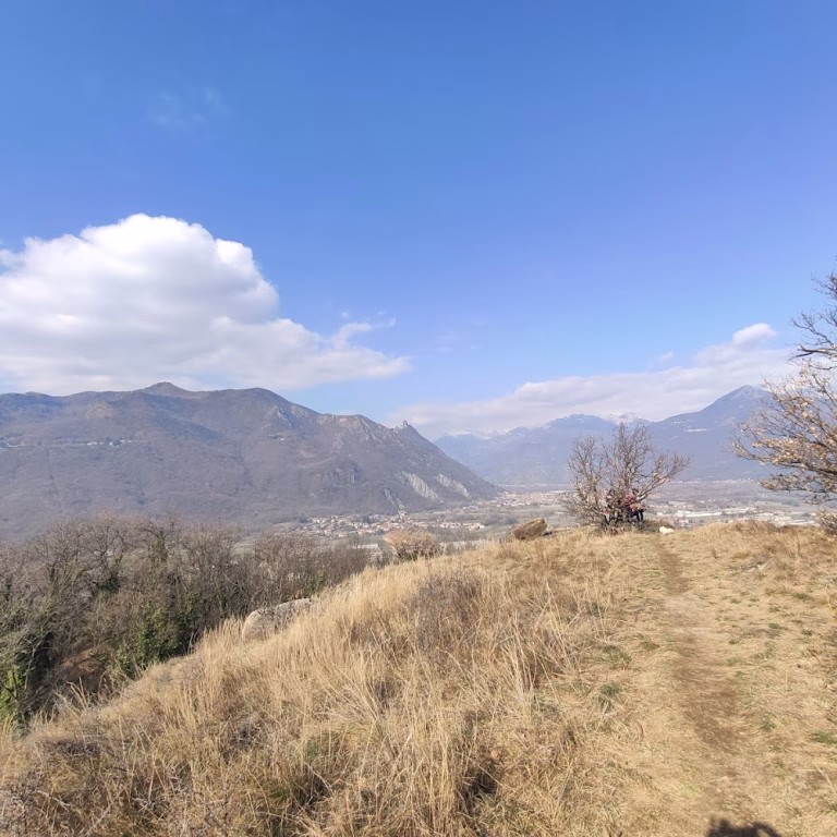 Parco Naturale Laghi di Avigliana 5 768x768