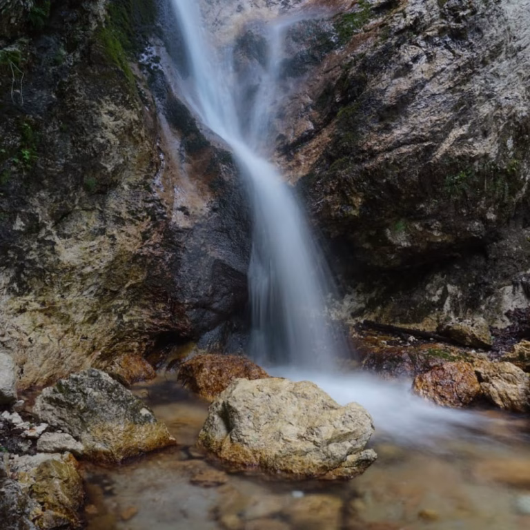 Parco Nazionale DAbruzzo Lazio e Molise 2 768x768