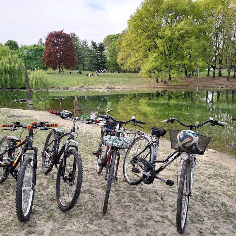 Parco Pubblico Pellerina 1 768x768