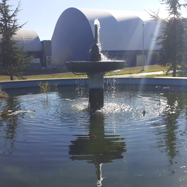 Parco dei Cedri 1 768x768
