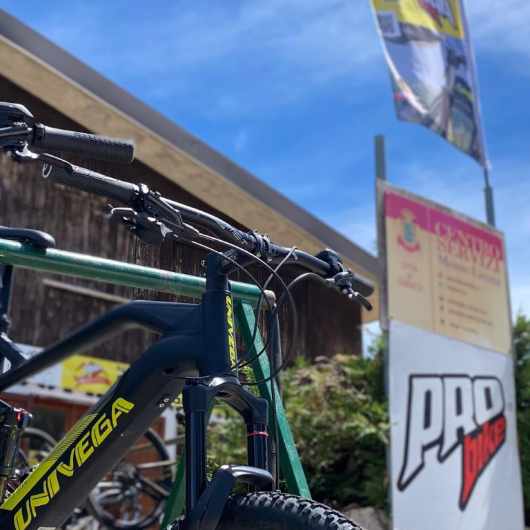 Pro Bike Experience 1 768x768