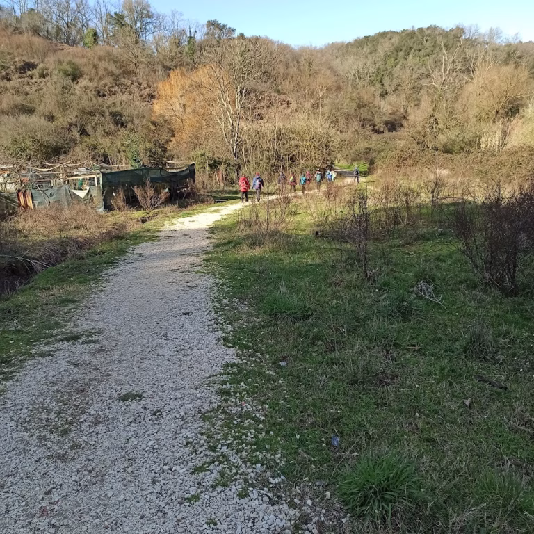 Riserva Naturale dellInsugherata 3 768x768
