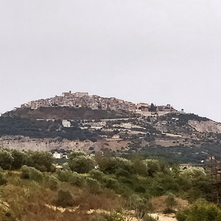 Riserva Naturale della Marcigliana 1 768x768