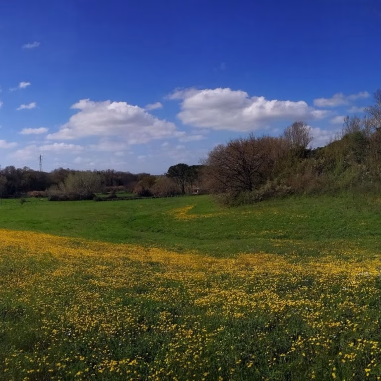 Riserva Naturale della Marcigliana 2 768x768
