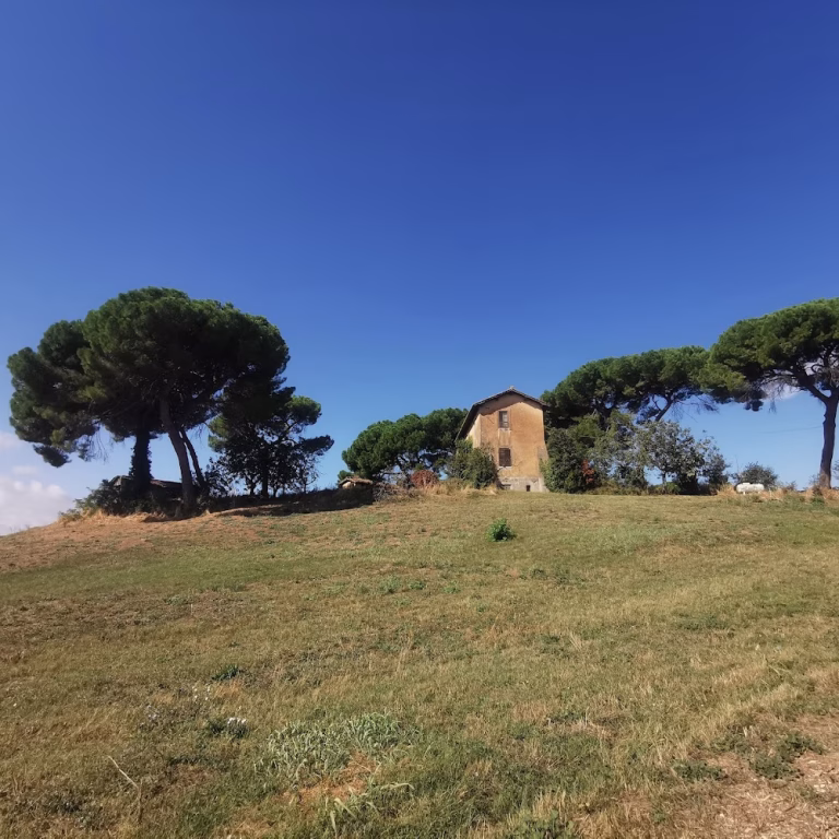 Riserva Naturale della Marcigliana 3 768x768