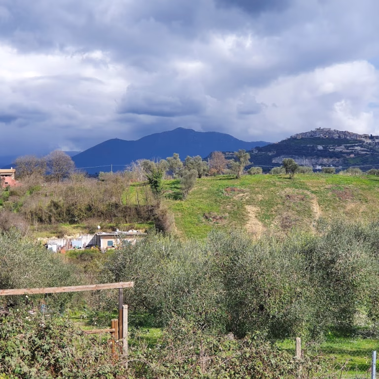 Riserva Naturale della Marcigliana 4 768x768
