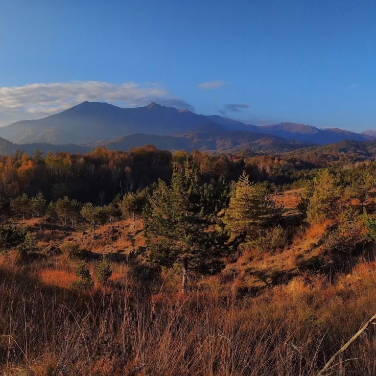 Riserva naturale dei Monti Pelati 2 768x768