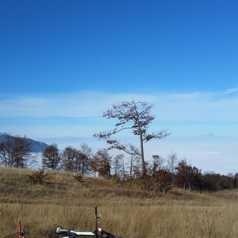 Seggiovia Monte Alpet Bike Village 5 768x768