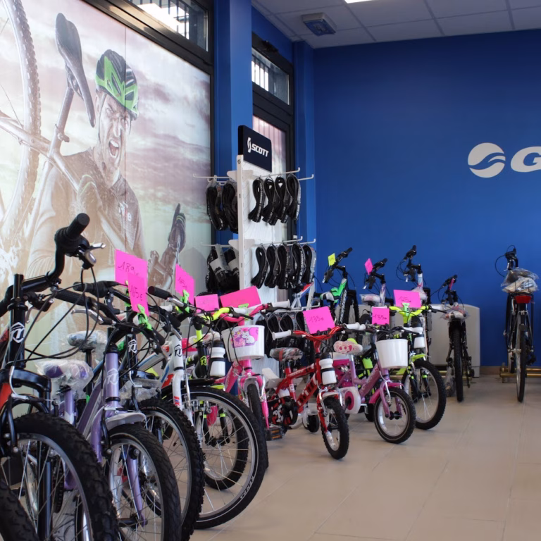 Speedybike Store 1 768x768
