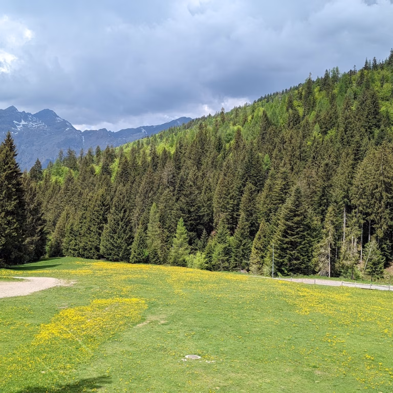 Spiazzi di Gromo Bike Park 3 768x768