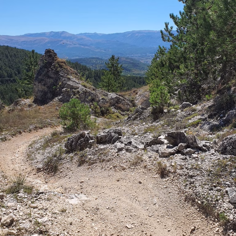 Vallone delle Cese Bike Park 2 768x768