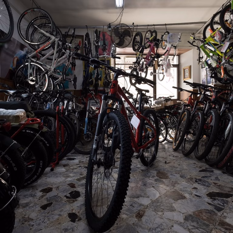 Cicli Molonia 5 768x768