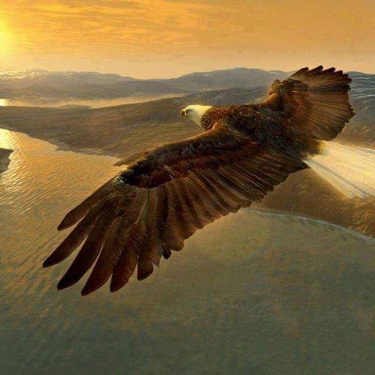 Ciclo Center 0 2 768x768