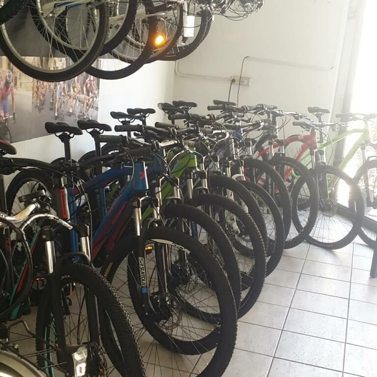 Gli Amici Della Bicicletta 2 768x768