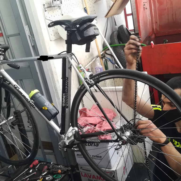 Max Bici 2 768x768