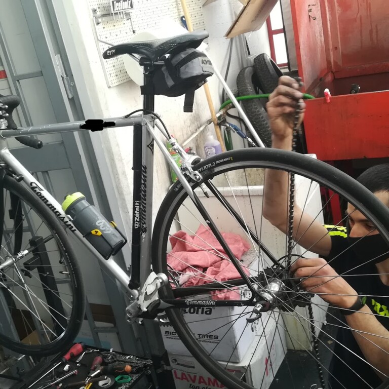 Max Bici 2 768x768
