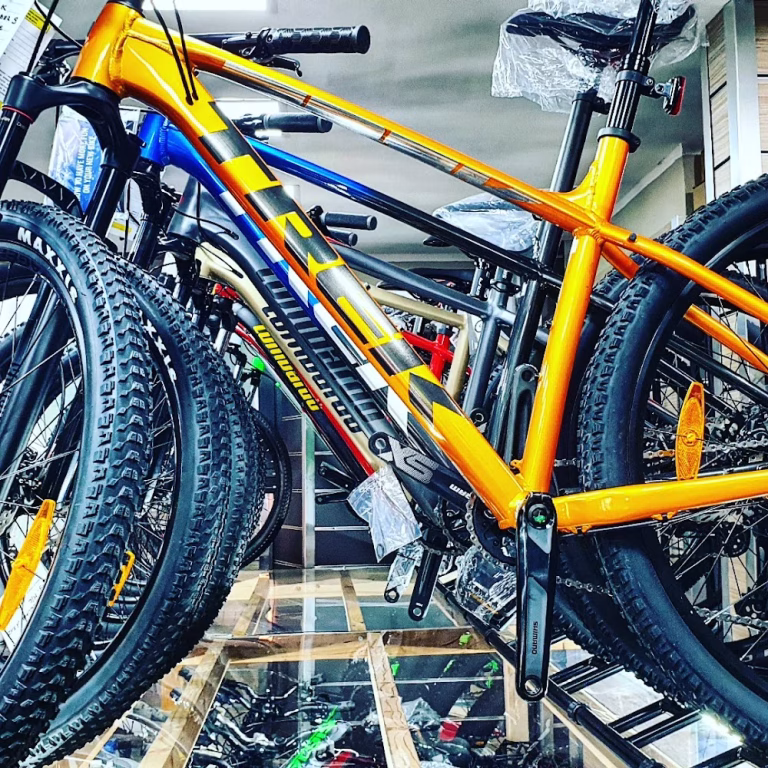 Recchiuti Motor  noleggio e vendita biciclette   MTB   Bici Elettriche Pedalata assistita 0 768x768