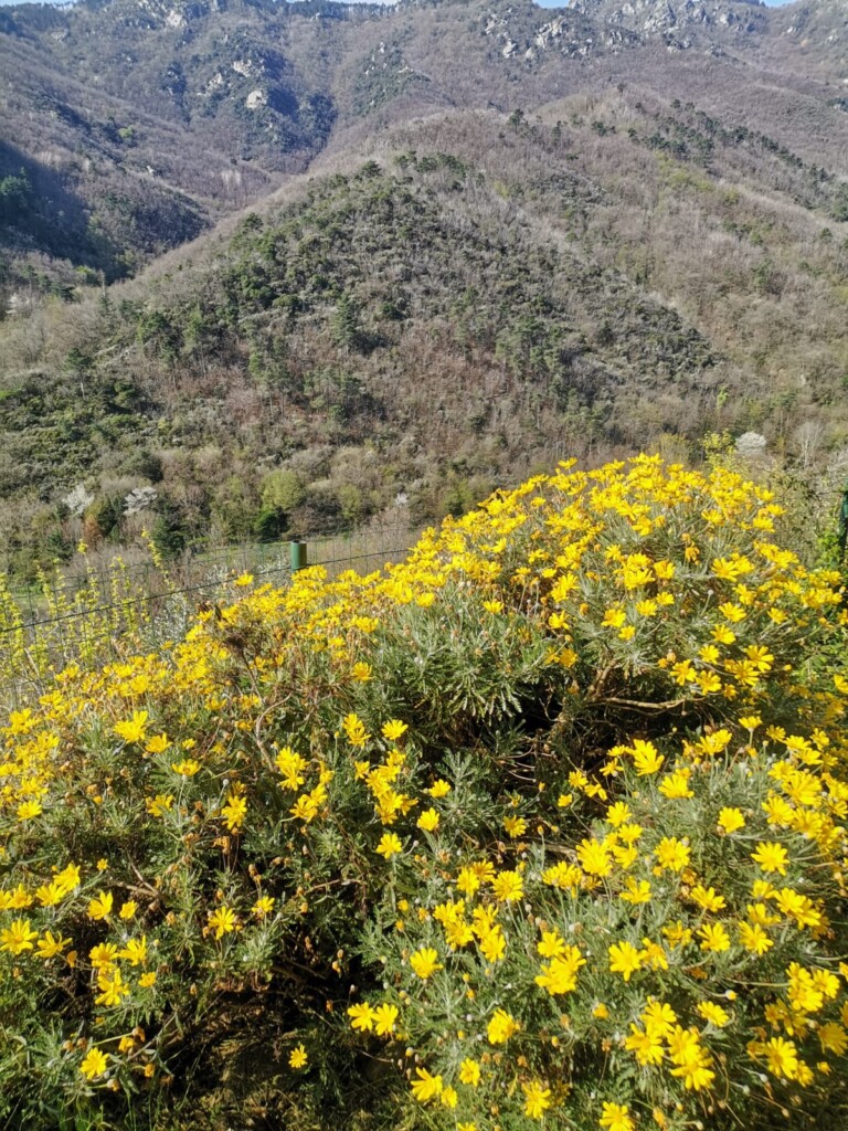 IMG 20230505 WA0001 768x1024