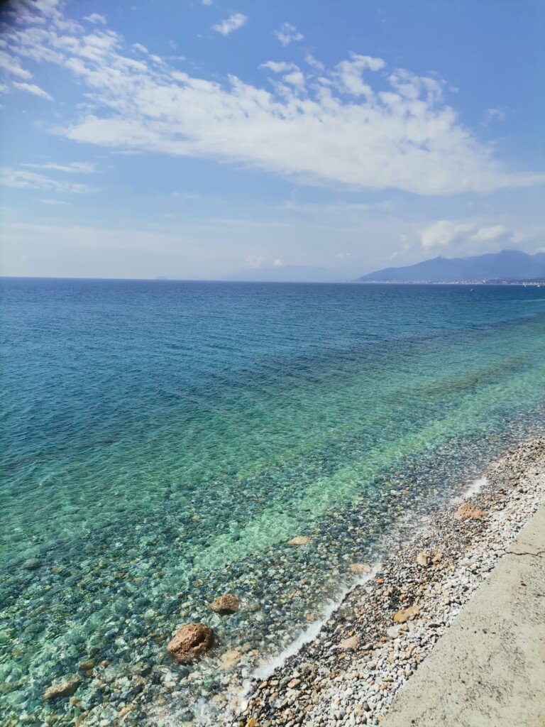 IMG 20230505 WA0002 768x1024