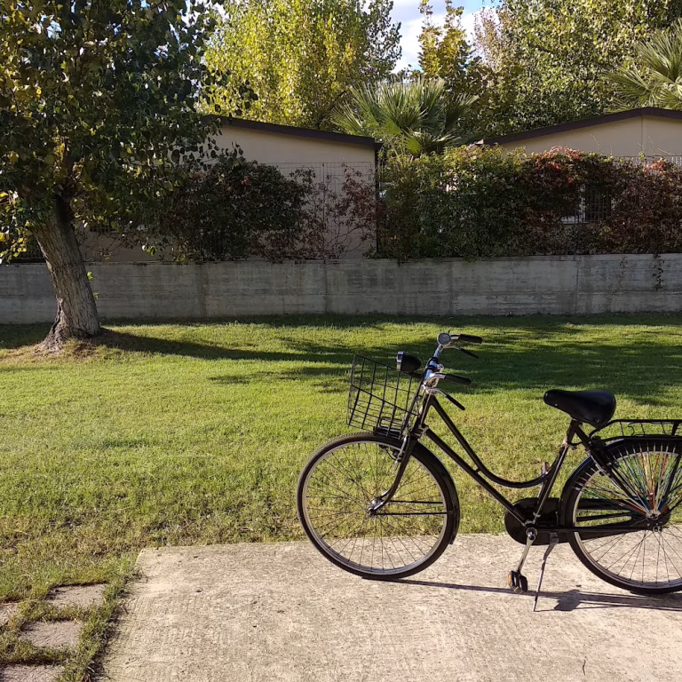 Mezzadri Ciclo Officina e Noleggio Bici 2 1 768x768