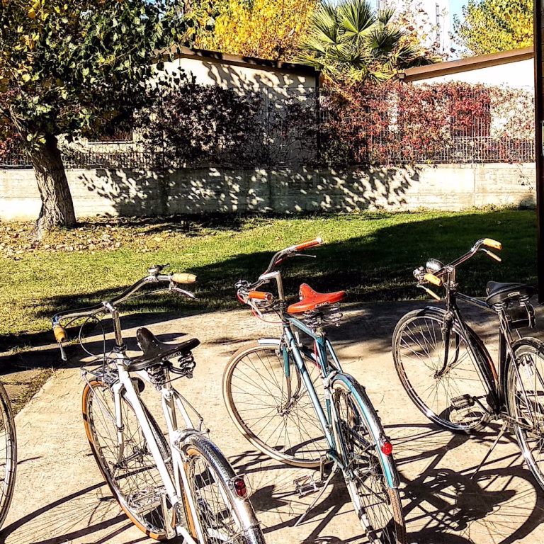 Mezzadri Ciclo Officina e Noleggio Bici 3 768x768