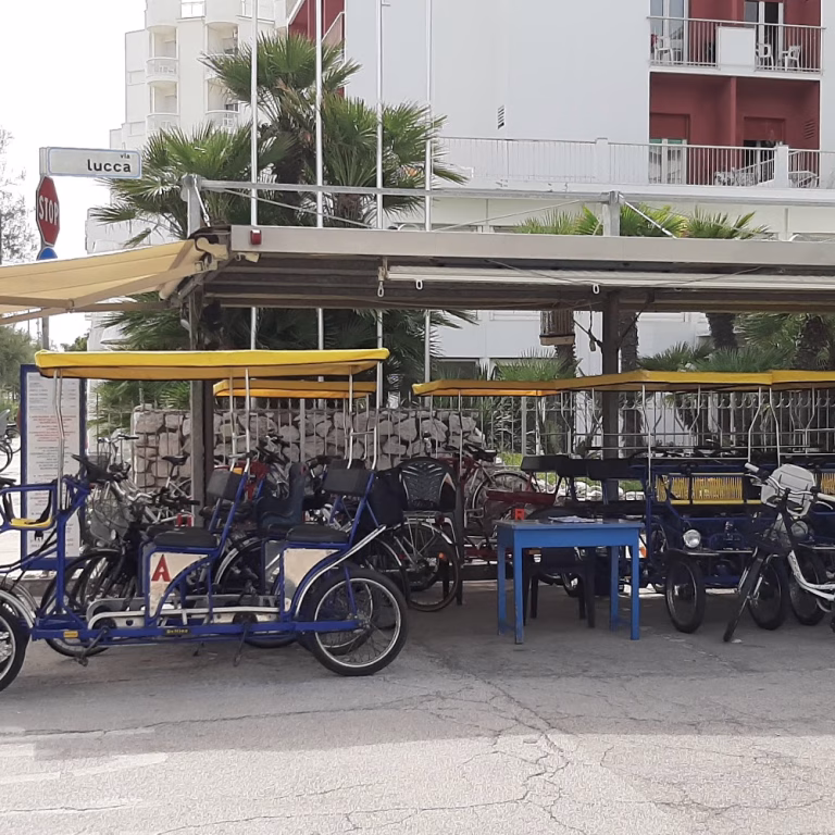 Noleggio Bici di Tranquilli Mirco 0 1 768x768