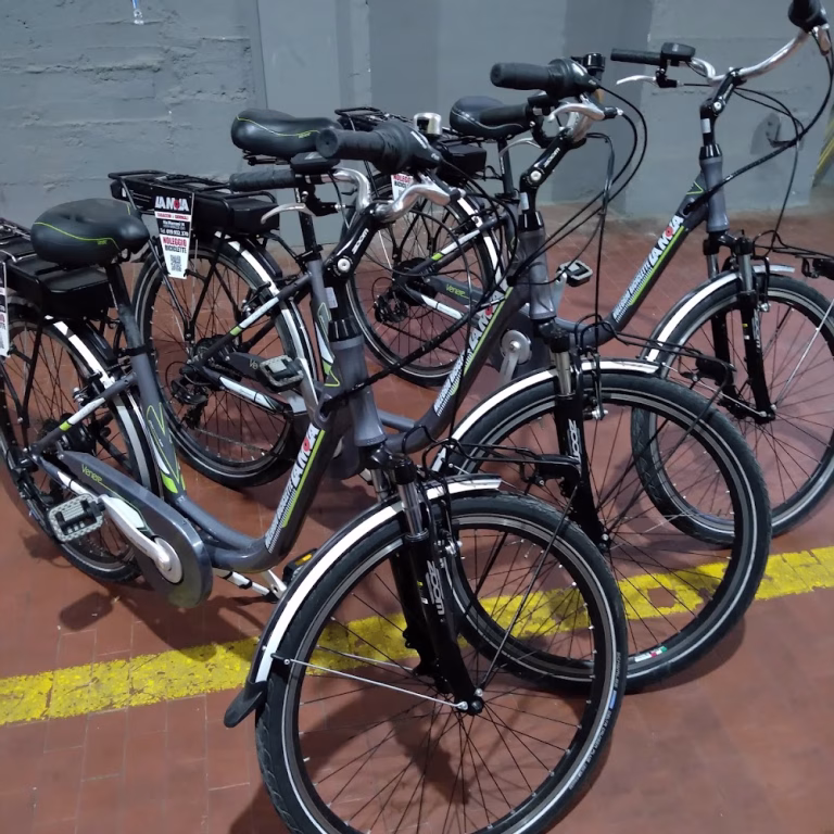 Noleggio Biciclette La Mola   Tabacchi 0 768x768
