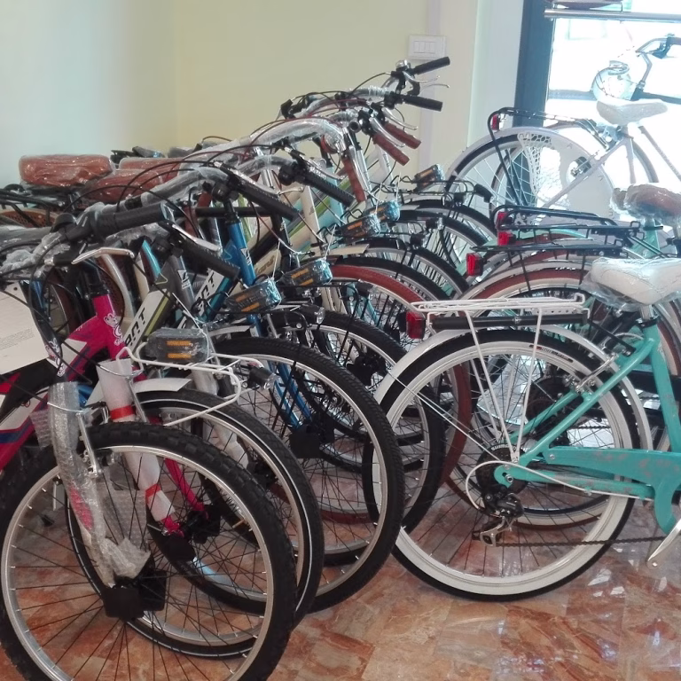 Officine ICAR Vendita Assistenza e Noleggio Bici 5 768x768