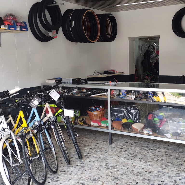 Officine ICAR Vendita Assistenza e Noleggio Bici 7 768x768