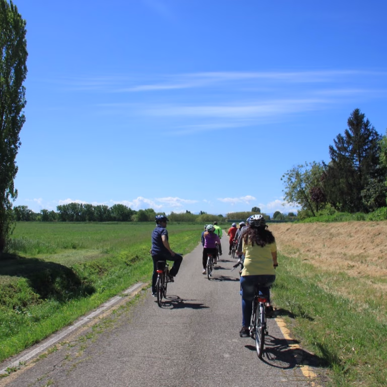 eGOeBIKE Bike RentalTour Negozio e punto di Noleggio 0 768x768